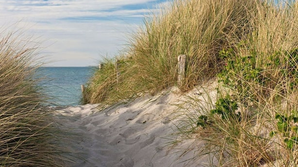 Un sendero arenoso en la playa con hierba alta y un poste de madera.