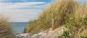 Gite de caractère dans une propriété viticole - unit_1972900