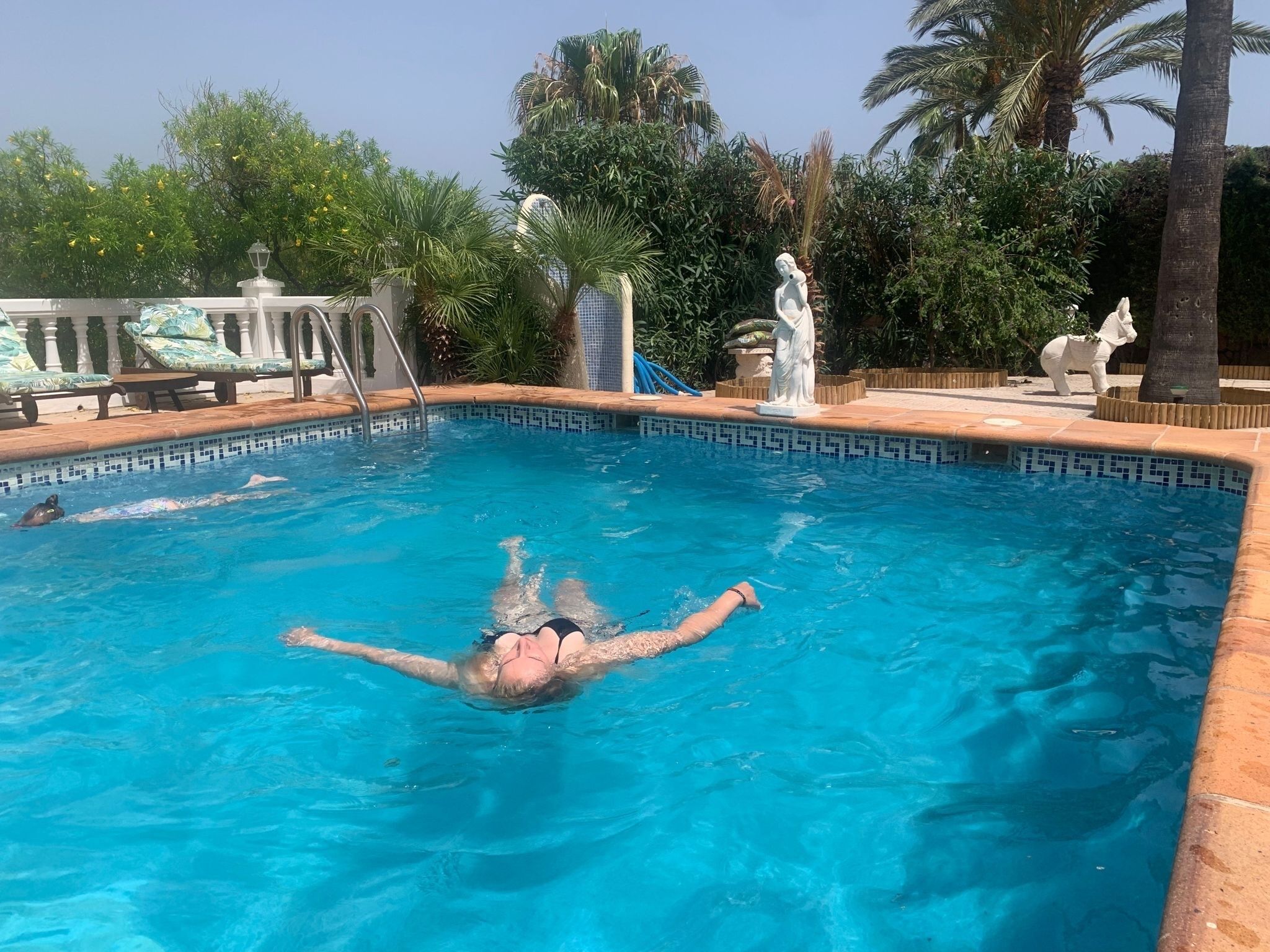 A swimming pool with a person swimming, surrounded by palm trees and a statue.