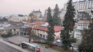 Vista da rua com edifícios, árvores e uma van estacionada na lateral.