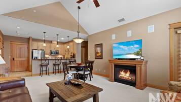 Smart TV, fireplace, books