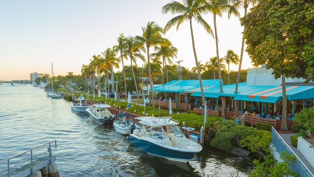 A marina with boats docked, palm trees, and a waterfront restaurant with outdoor seating.