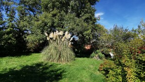 A well-maintained garden with a variety of plants and a large tree providing shade. - Le clos verdonnais  (Verdon)