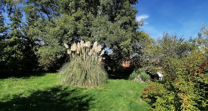 Le clos verdonnais