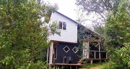 Beautiful tiny house, in the middle of the forest.
