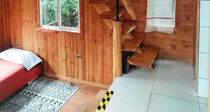 Beautiful tiny house, in the middle of the forest.