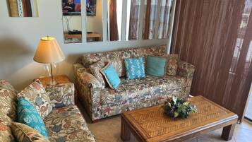 Téléviseur connecté, lecteur de DVD, livres