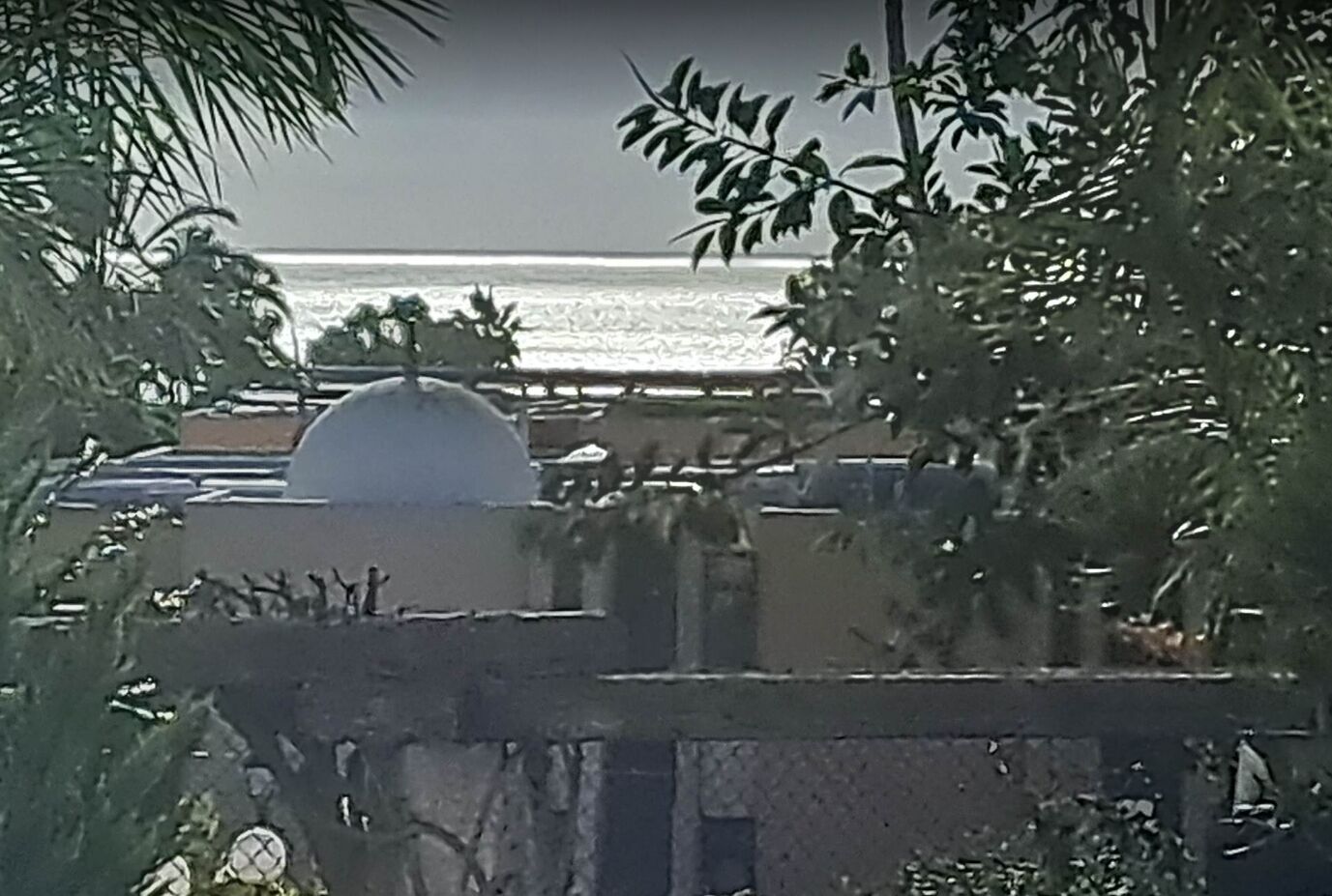 Une vue d’une plage avec une structure en forme de dôme blanc, des palmiers et un ciel dégagé.