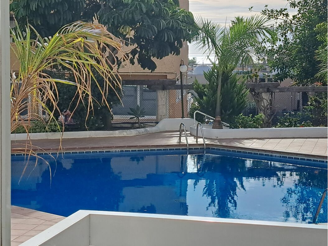 A swimming pool with a tiled deck, surrounded by various plants and a building in the background.