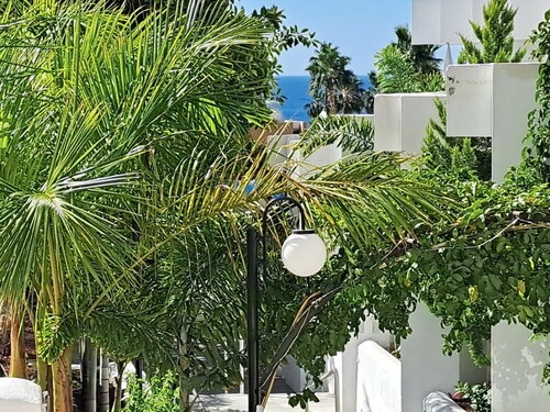 Beautiful 1 bedroom apt right in front of large pool