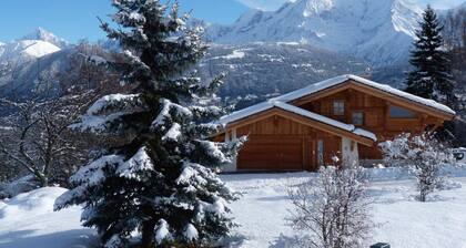 Appartement F2 dans chalet face au Mont Blanc (animaux non acceptés)