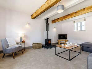 Fernseher, Kamin