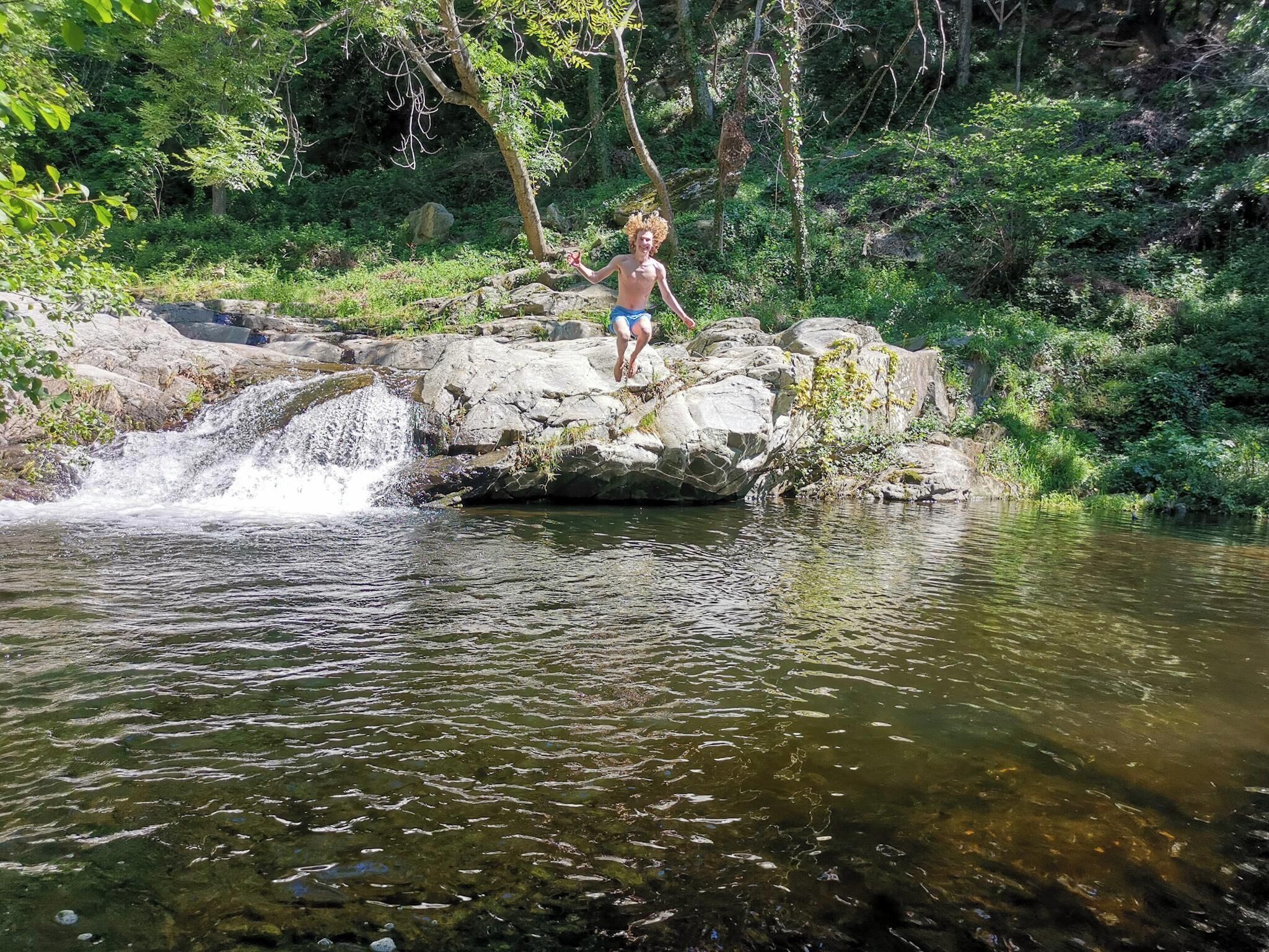 A person standing on a rock by a waterfall in a forested area.