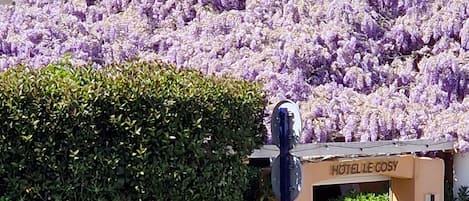 Facciata della struttura