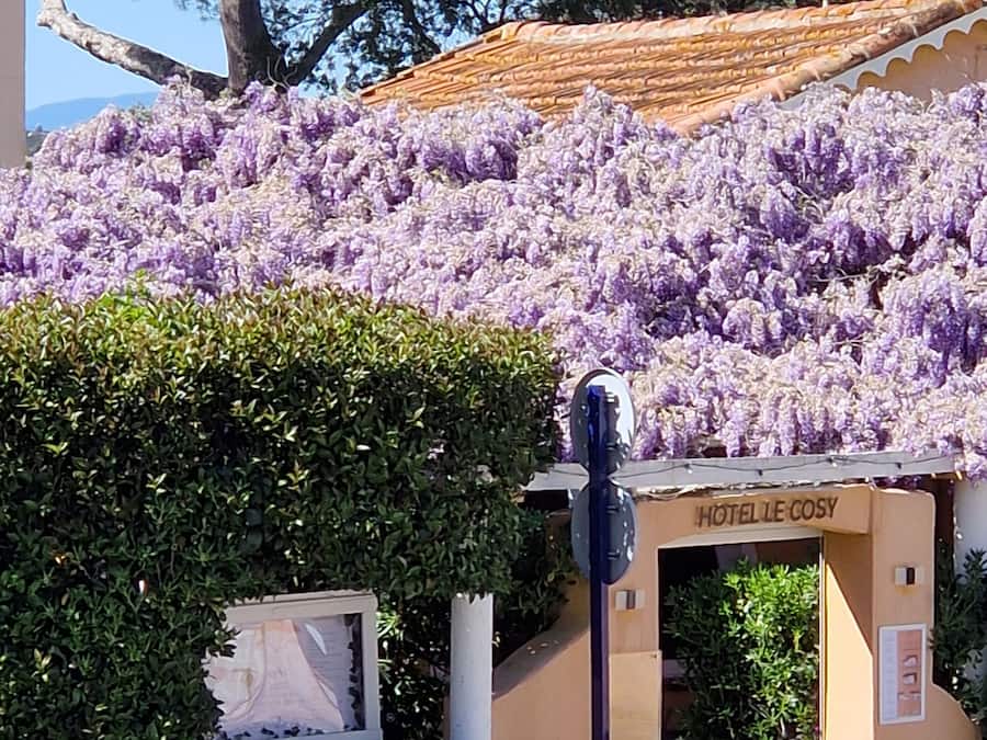 Bagian depan properti