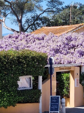 Front of property - le Cosy (Fréjus)