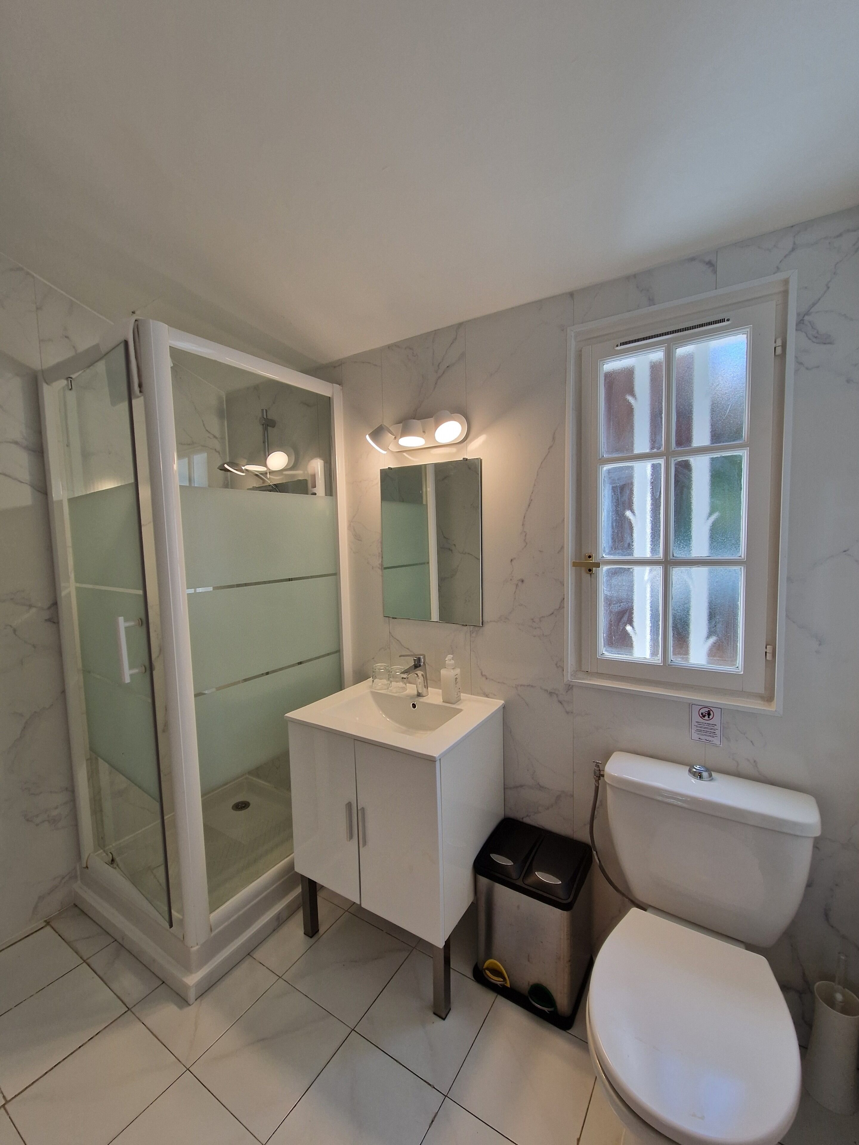 Une salle de bain avec une douche à parois de verre, un lavabo blanc avec un miroir au-dessus et des toilettes.