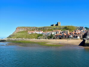 Fishing - 4 bedroom accommodation in Whitby (Whitby)