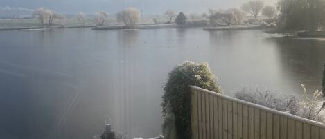 Khuôn viên nơi lưu trú