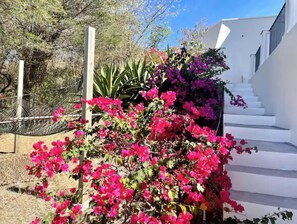 المنطقة المحيطة بالمنشأة