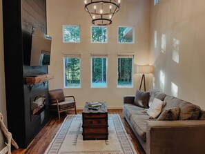 Smart TV, fireplace, books