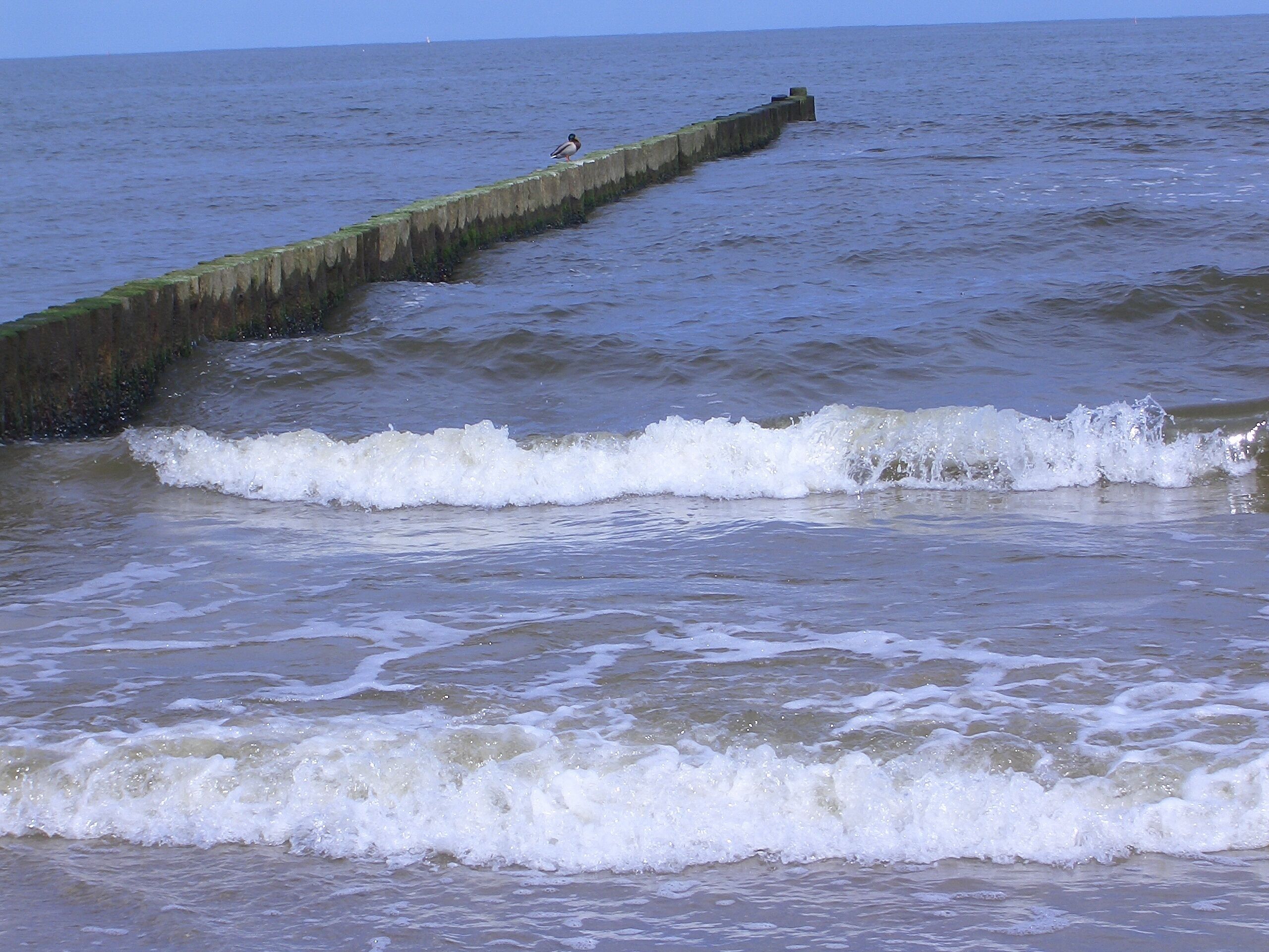 Une scène côtière où les vagues s’écrasent sur une jetée en béton.