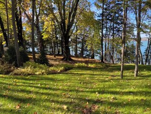 Escape to a serene natural oasis surrounded by tall trees and a tranquil body of water.