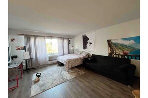 Smart TV, books