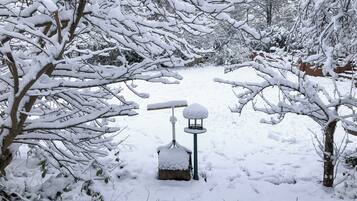 Garden and grounds | The Chalet - Down House, Frant, Tunbridge Wells