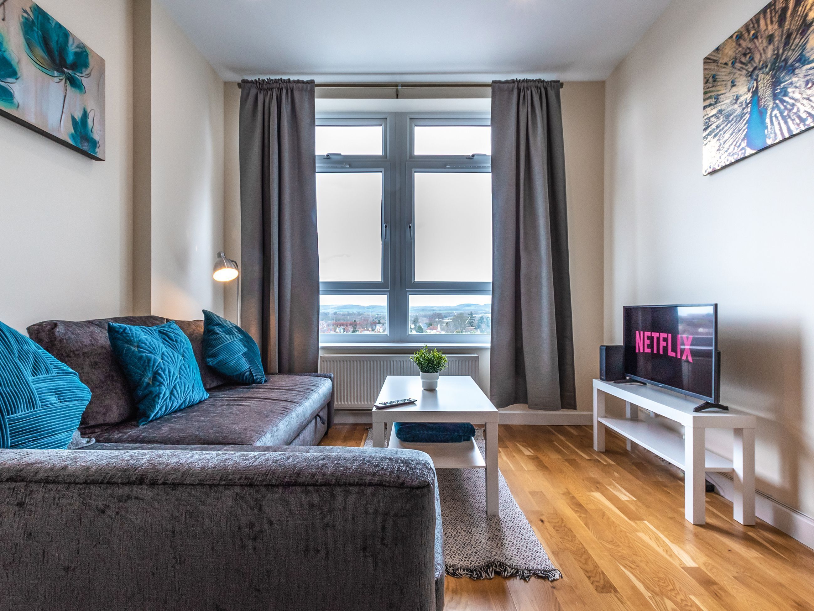 Netflix y servicios de streaming 