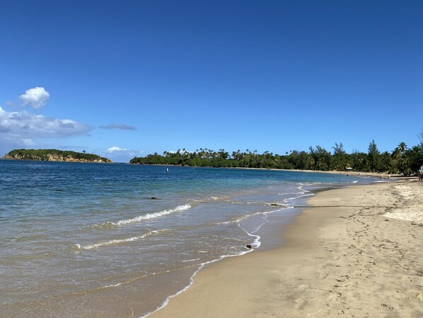 Camastros y toallas de playa 