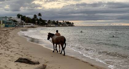 Walk to beach, Walk/Bike Cerro Gordo National Park Trail, Great for Multi-Family