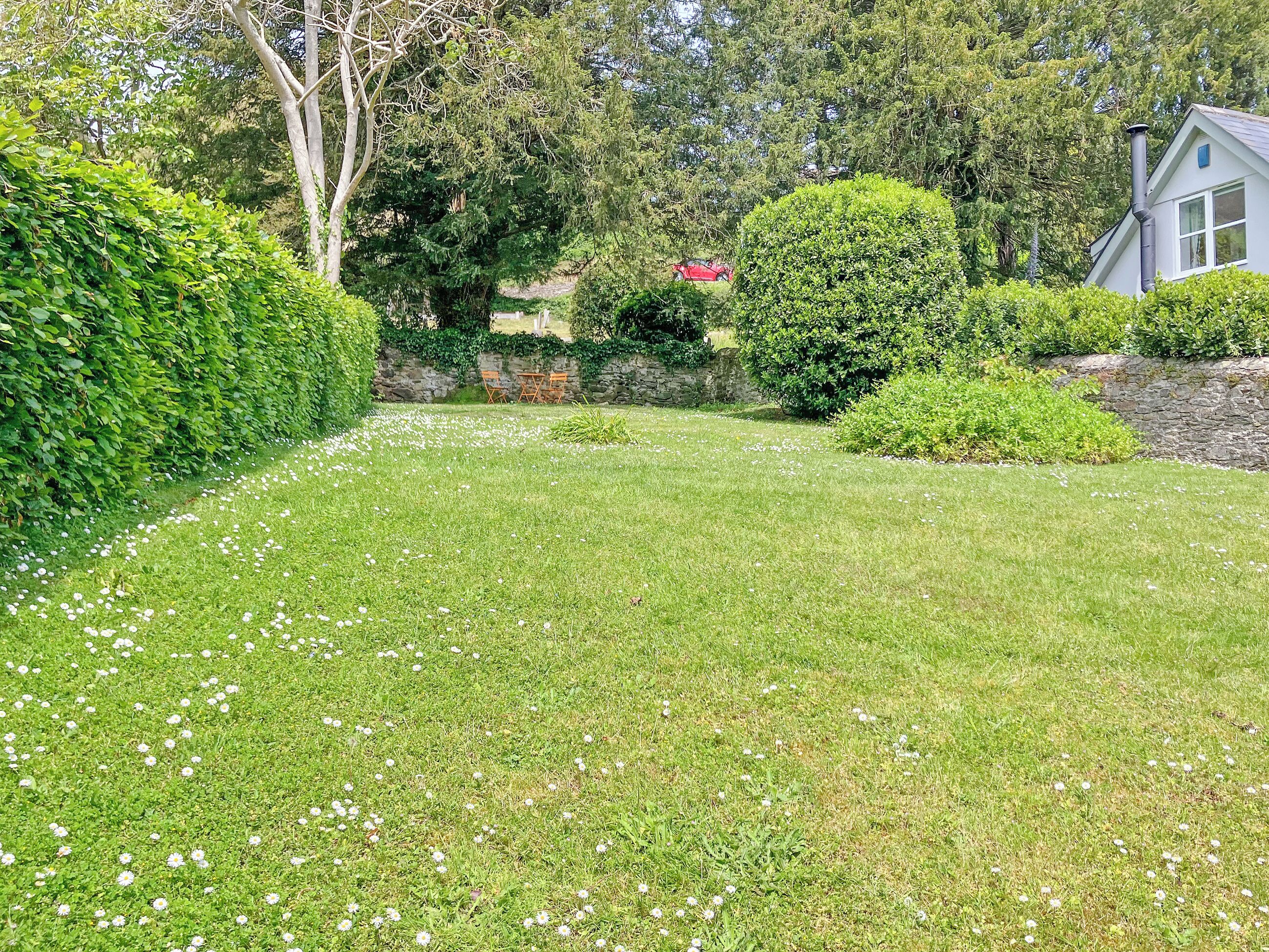 A well-maintained lawn with white flowers, a stone wall, and a house with a chimney.