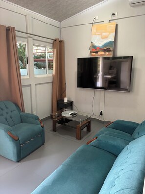 Televisión 