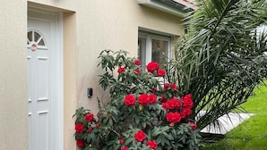 A house with a white door and a small garden with red flowers and green foliage.