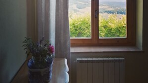 Een kamer met een raam dat uitkijkt op een landschap, een radiator en een bloempot op een houten tafel.