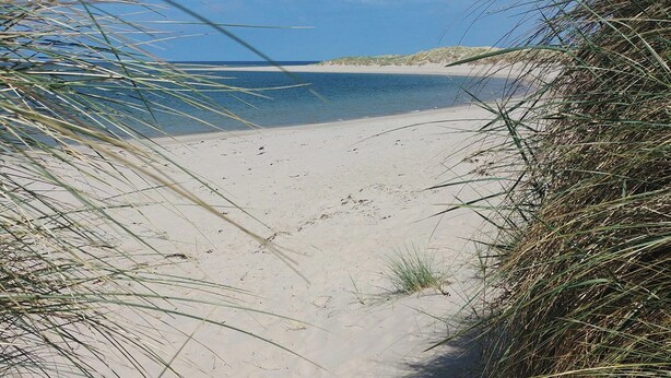 Une plage de sable avec des dunes et une vue dégagée sur l’océan.
