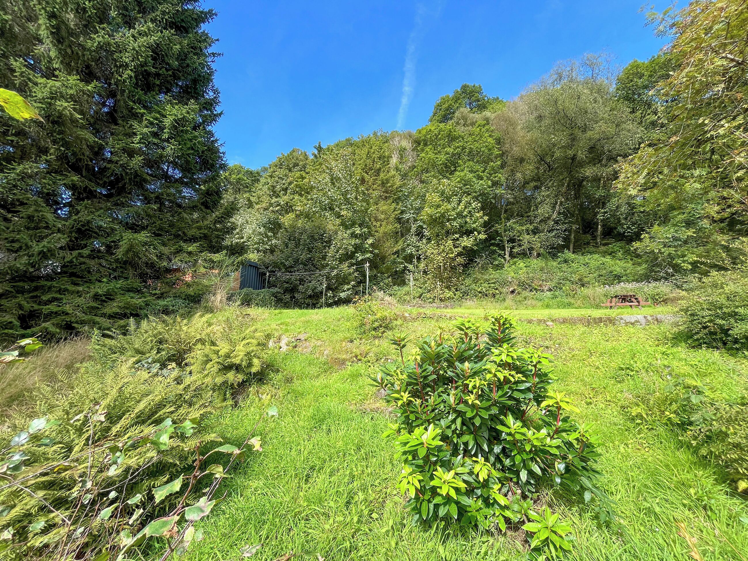 A natural landscape with dense trees, a grassy area, and a small structure.