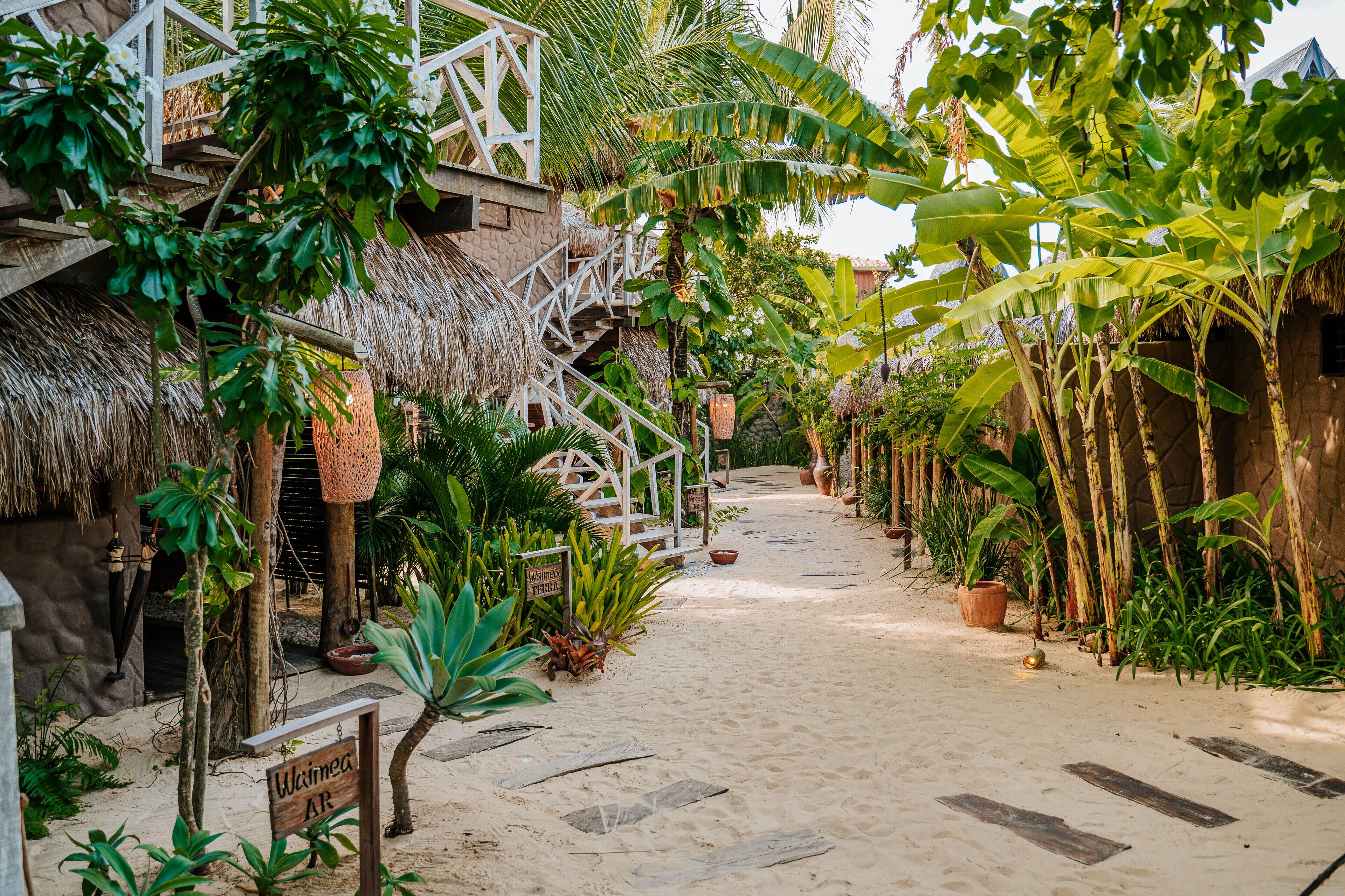 Standard Bungalow | Terrace/patio