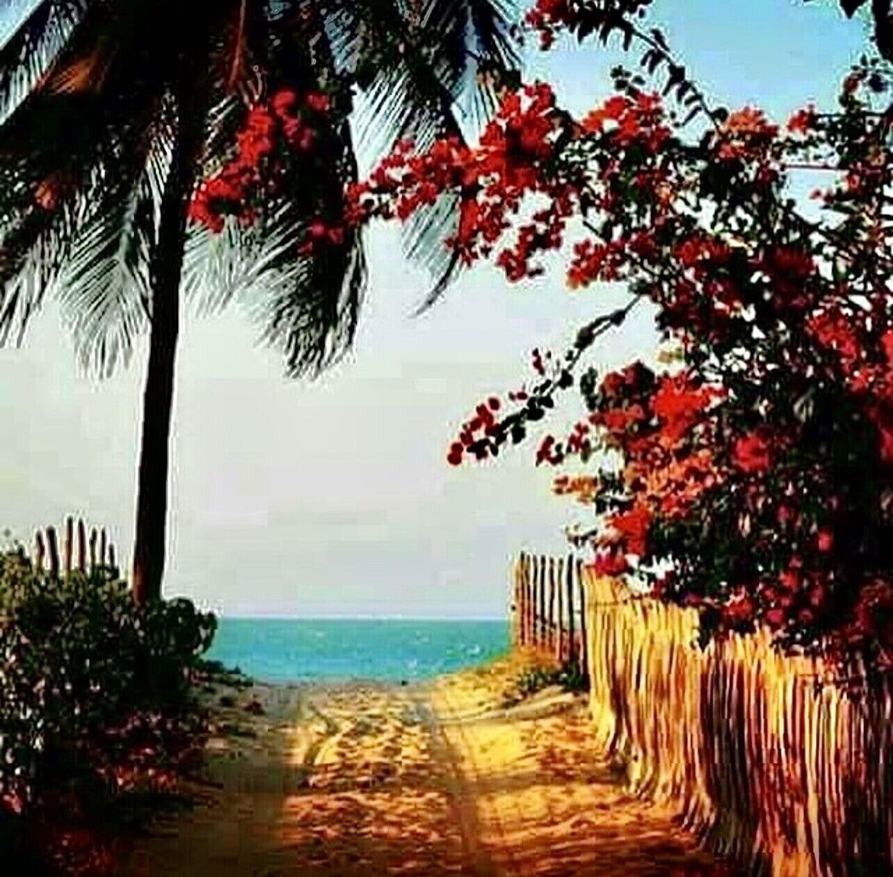 Un sentier qui mène à une plage bordée de palmiers et parsemée de fleurs rouges.