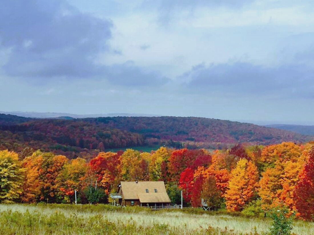JT’s Landing-3 bed/2 bath Cabin 7 min to Ellicottville on large scenic property