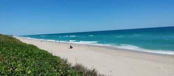 Melbourne Beach Florida Ocean front 2 houses plus an apt. sleeps 18