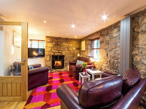 TV, fireplace - Foxes Reach - HW7421 (Catbrook, near Tintern)
