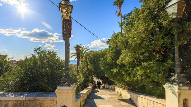 Un escalier en pierre, bordé d’une végétation luxuriante, mène à un point plus élevé.
