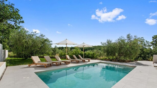 A rectangular swimming pool with four lounge chairs and two umbrellas. - Villa Vintiana - Private Pool, Six Bedrooms (Vintijan)