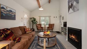 TV, fireplace, video games, books