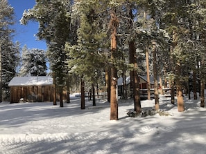 Cozy cabin nestled among evergreen trees, blending seamlessly into the winter landscape.