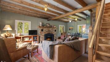 Televisión, chimenea, videojuegos y libros