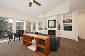 TV, fireplace, video games, books