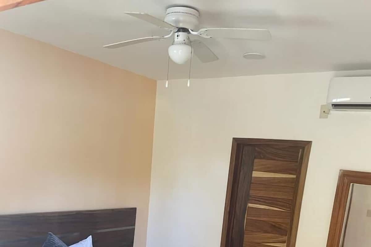 A hotel room with a bed, a nightstand, a wooden door, a mirror, and a ceiling fan.
